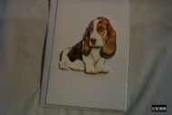 basset hound